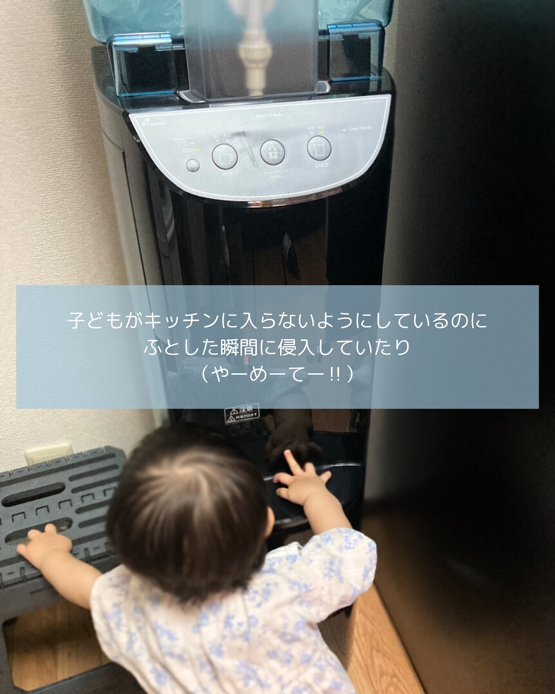 モニターNo.24